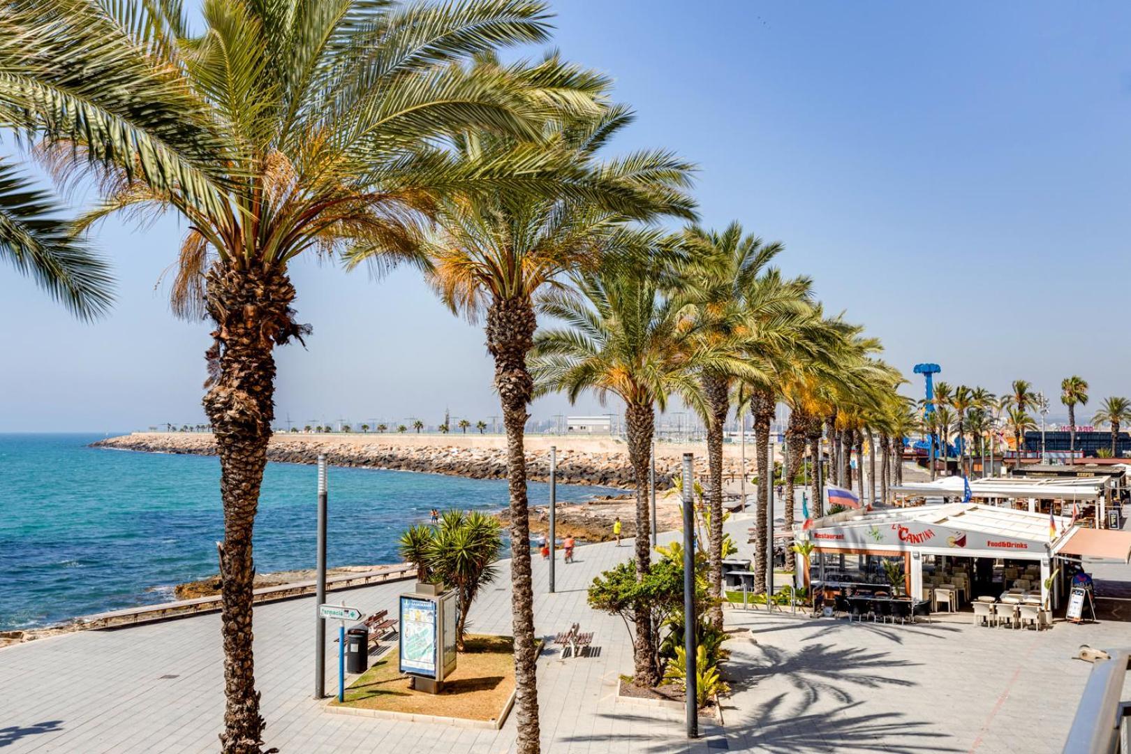 Lovely Apartment Near The Sea Torrevieja Extérieur photo
